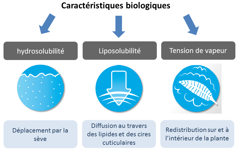 Graphe_Site internet_LIDAL