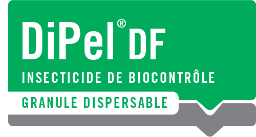 DIPEL DF