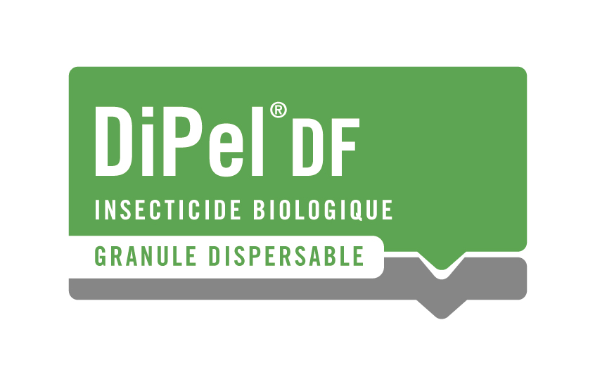 DIPEL DF