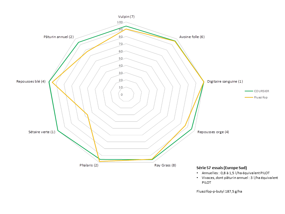 Graphe_Coursier_Site internet