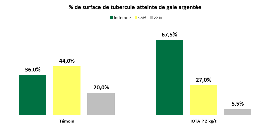 Graphe_Iota P_Gale argentée