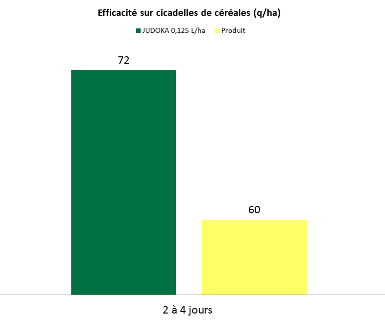 Graphe_Judoka_Cicadelles