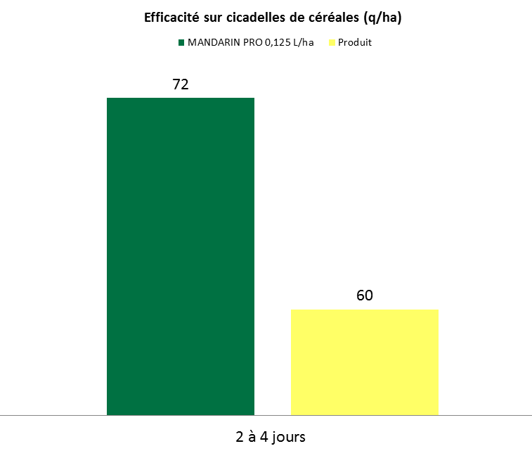 Graphe_Mandarin Pro_Cicadelles