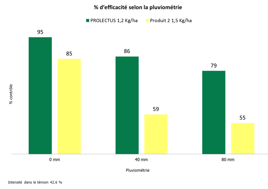 Graphe_Prolectus_Site internet