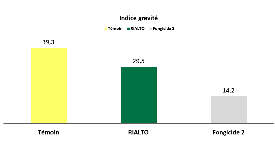 Graphe_Rialto_Indice gravité