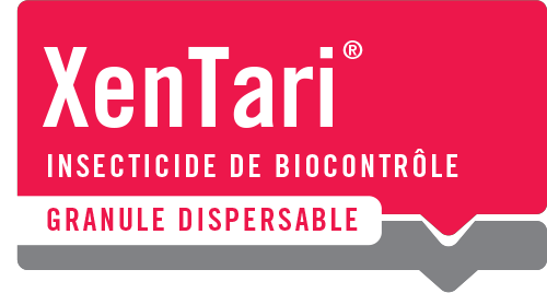 XENTARI