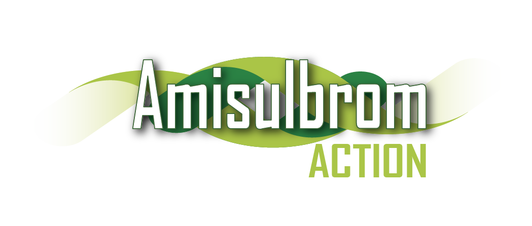 LOGO AMISULBROM-01