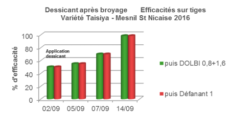 Dolbi graph 2