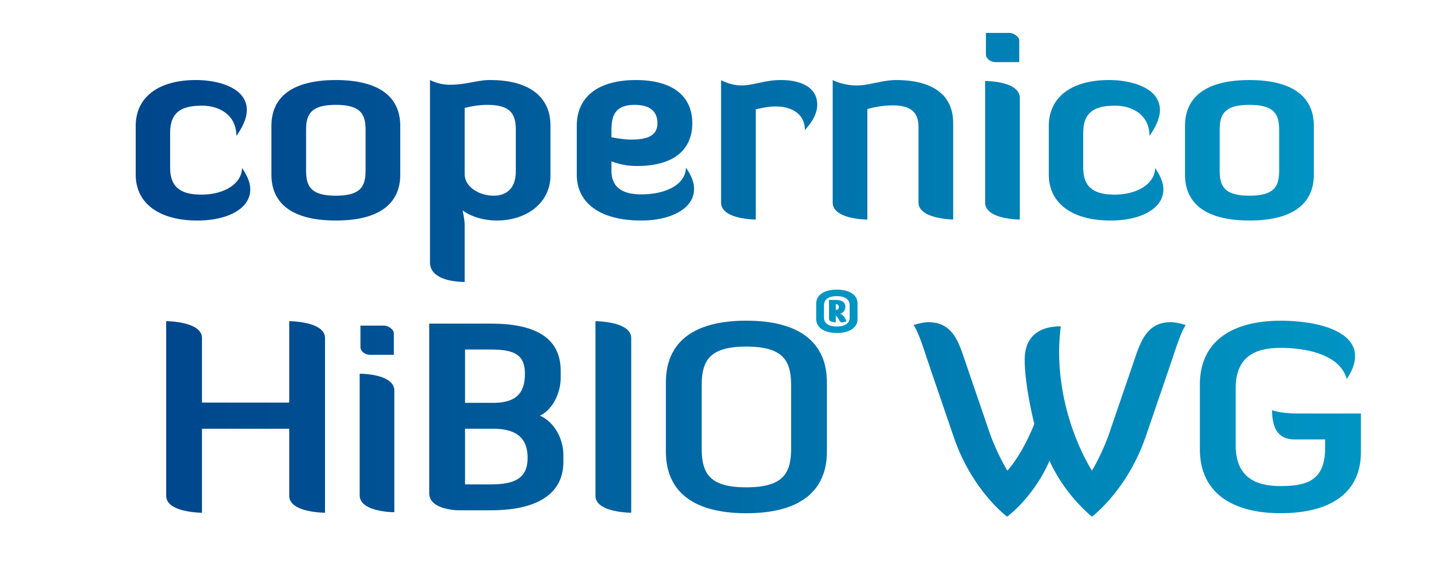 Copernico HiBIO WG - Site internet