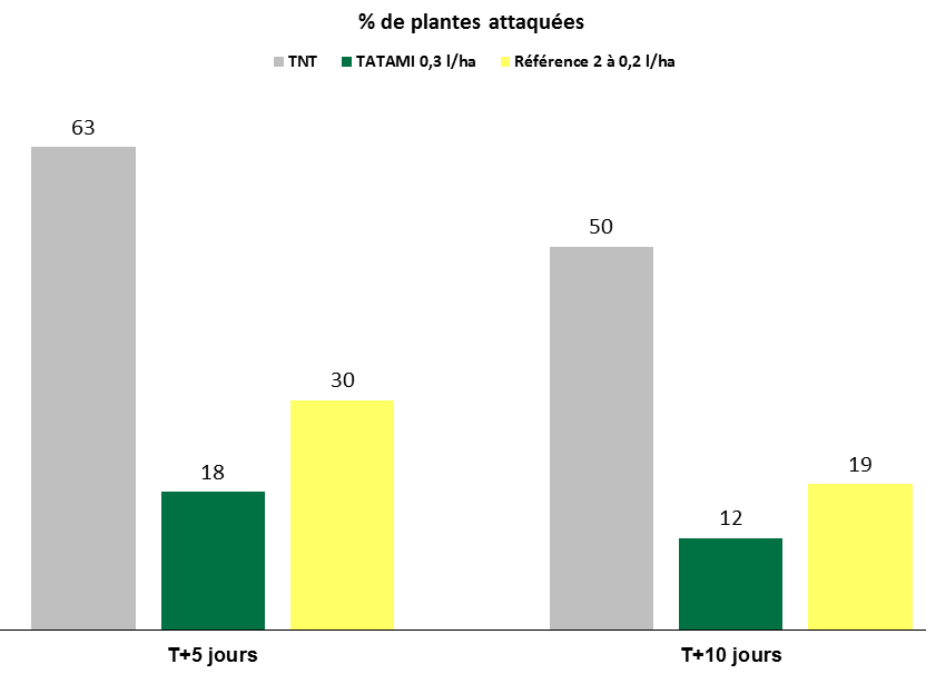 Graphe_TATAMI_Altise