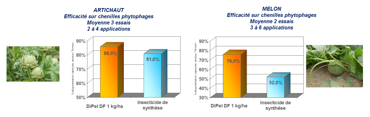 graph-dipel