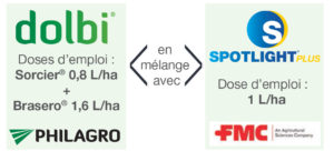 Améliorer l’activité défoliante, tant au niveau de l’efficacité finale et/ou de rapidité d’action.